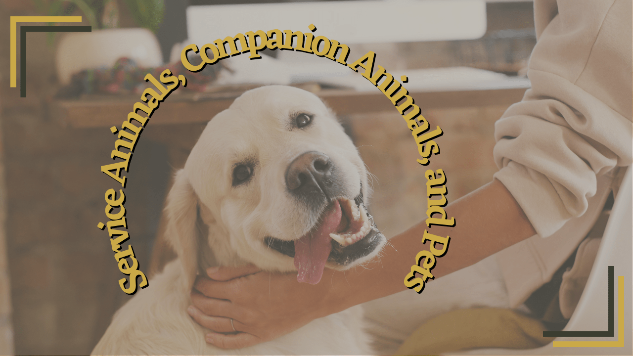 can a landlord charge a pet fee for a service dog